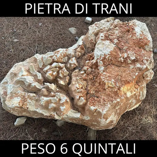 Pietre giganti da giardino