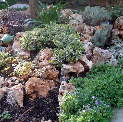 rocce da giardino